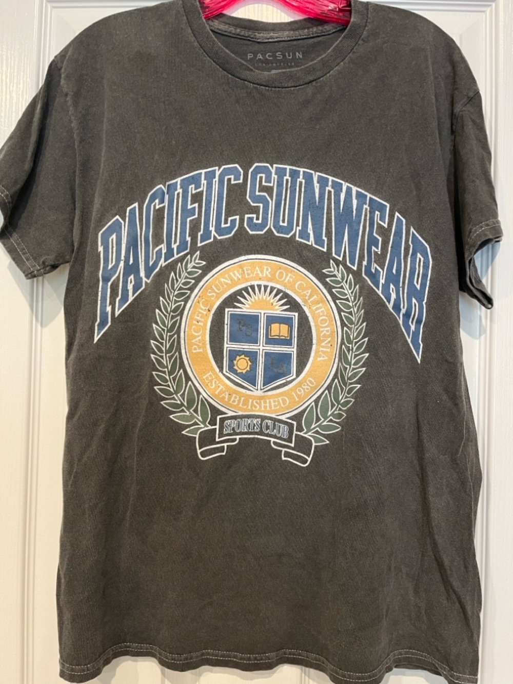 PacSun Pacific Sunwear Graphic Tee - Dark Grey Unisex
